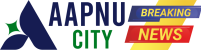 AAPNU CITY LOGO